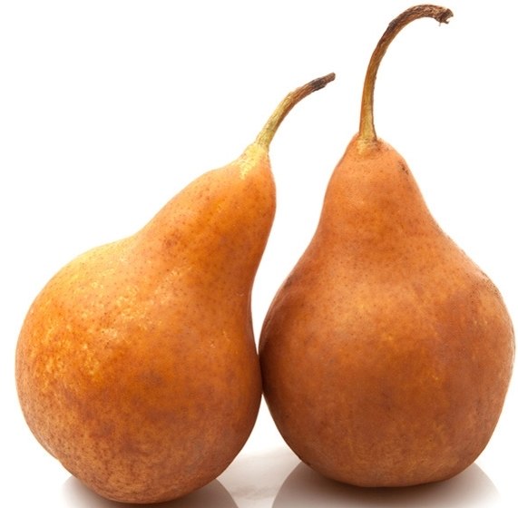 Soczysta gruszka konferencja