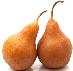 Soczysta gruszka konferencja